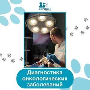 Диагностика онкологических заболеваний