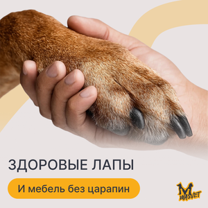 Стрижка когтей у кошек и собак