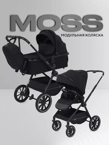 Коляска 2 в 1 Rant Moss 2025, Black 