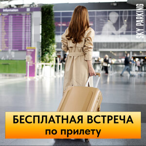 Встреча по прилету