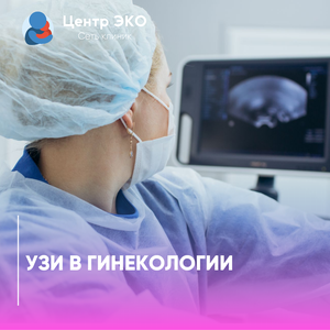 УЗИ органов малого таза