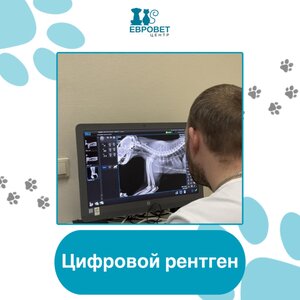 Цифровой рентген