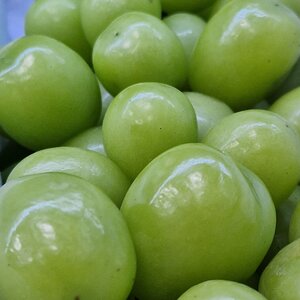 Фрукты_N⁰1. Солнечный мускат органик. 