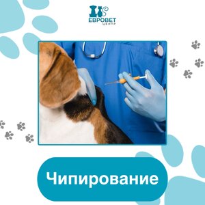 Чипирование