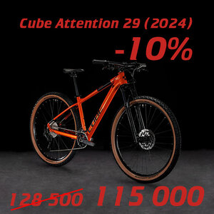 Cube Attention 29 (2024)