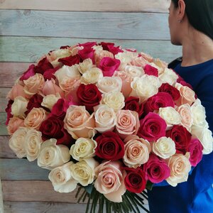 101 роза Эквадор Ассорти