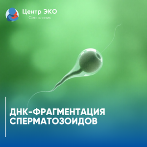 ДНК-фрагментация 