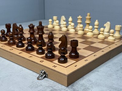 Шахматы 2 в 1 шашки подарочные магнитные