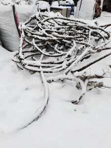 Выкуп кабеля