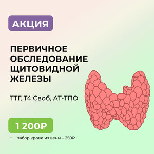 Первичное исследование щитовидной железы