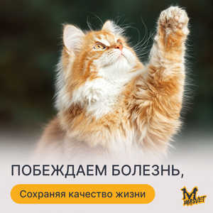 Лечение онкологии