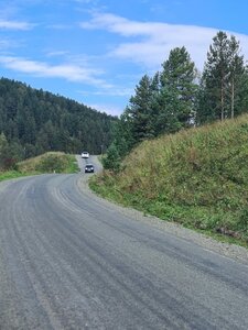 Автобусом на Алтай