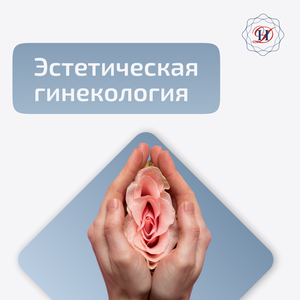 Эстетическая гинекология в "ДН-клинике"