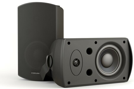 Громкоговоритель настенный CVGaudio RF616TBL