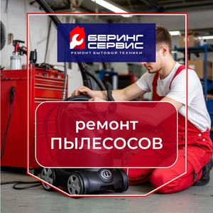 Ремонт пылесосов. Сервисный центр. Гарантия 6 мес.