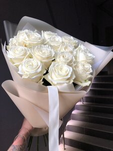 Розы сорта Плайя Бланка 11 шт
