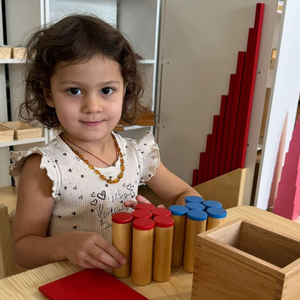 Монтессори «Casa dei Bambini» для детей