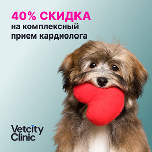 Полная диагностика сердца 
