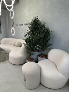 Искусственное озеленение в кашпо (в горшках)