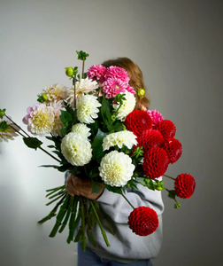 Моно №33