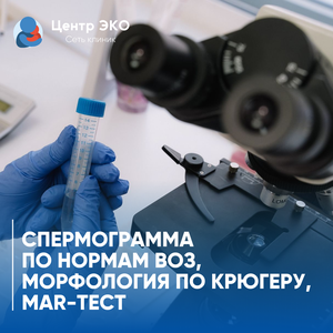 Спермограмма