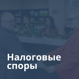Налоговые споры