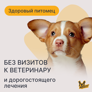 Вакцинация животных от вирусных инфекций