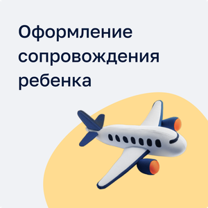 Оформление сопровождения ребенка