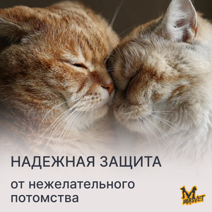 Стерилизация животных