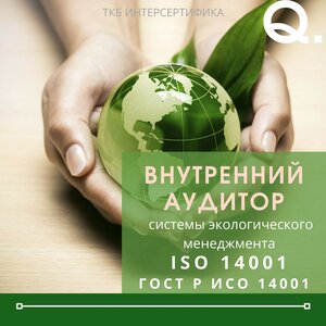 Внутренний аудитор системы экологического менеджмента