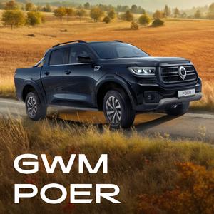 Новый GWM POER