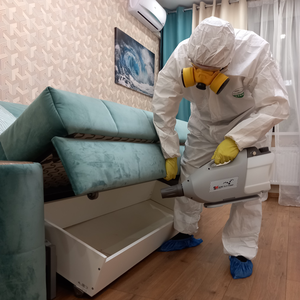 Уничтожение клопов холодным туманом за один раз 