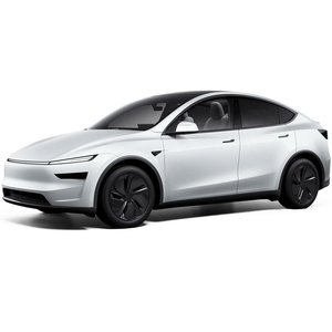 Tesla Model Y Европа