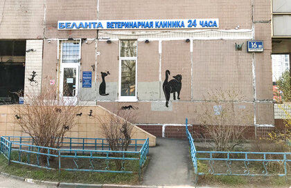Беланта (Братеевская ул., 16, корп. 3, Москва), ветеринарная клиника в Москве
