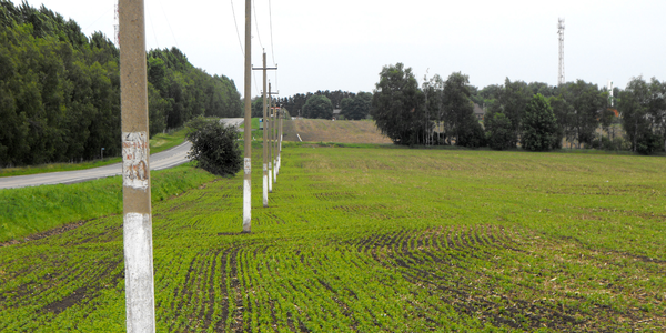 Зоны СЗ3, ЛЭП, газопровода