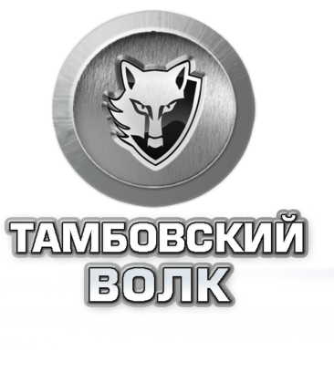 Тамбовский волк (Новоилларионовская ул., 43А), магазин автозапчастей и автотоваров в Чебоксарах
