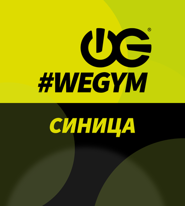 WeGym (2nd Sinichkina Street, 9А), fitness club