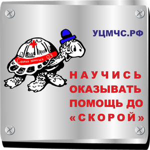 Базовый курс по первой помощи
