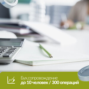 Бух. сопровождение до 10 человек/300 операций