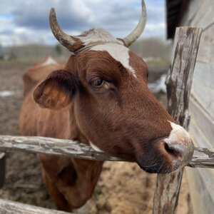Ферма и своя продукция