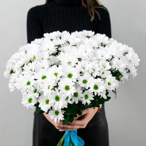 15 белых хризантем. Букет Весенний. 