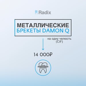 Металлические брекеты Damon Q (на одну челюсть)