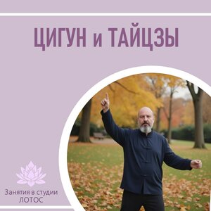 Цигун и Тайцзи 