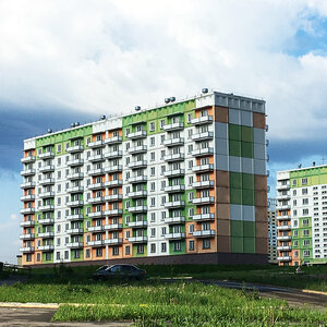 Березовая роща, 18