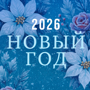 Новогодняя Ночь 2026