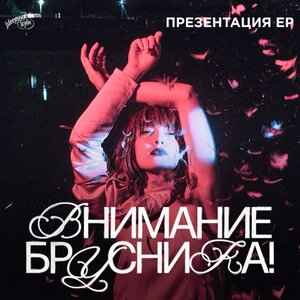 Внимание брусника! 19 ноября. Презентация EP