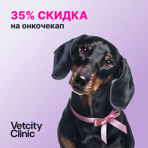 Полная онкодиагностика