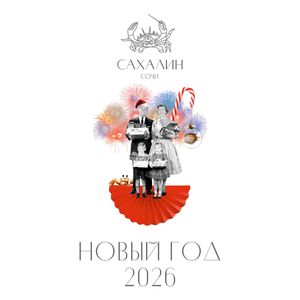 Новогодняя ночь