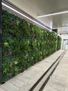 Вертикальное искусственное озеленение, фитостены
