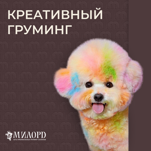 Креативный груминг